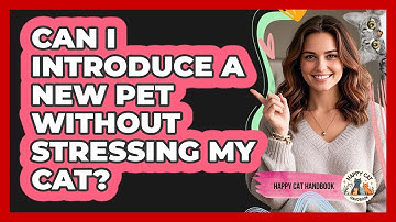 Can I Introduce A New Pet Without Stressing My Cat? - Happy Cat Handbook