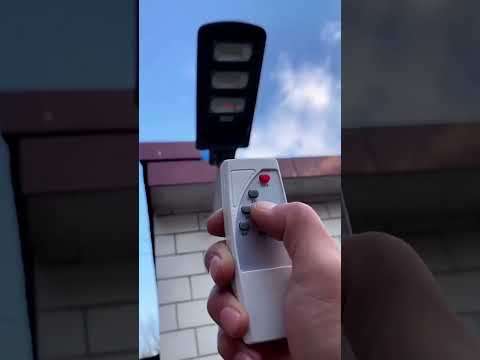 فيديو: مصباح الإسفنج في الهواء الطلق والعضوية الحديثة