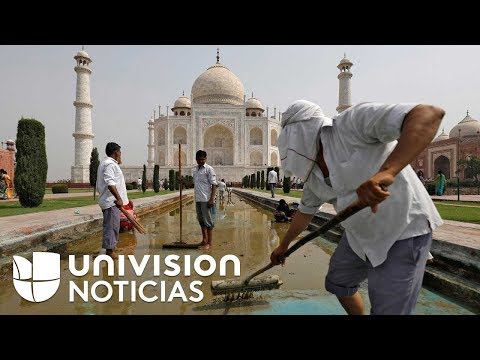 De Blanco A Amarillo Y Verde Vea Por Qué El Taj Mahal Está Cambiando Su Color 