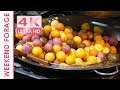 Awesome Colorful Sweet Potato Balls !/Taiwan Night Market/Taiwanese Street Food/地瓜球/台灣街頭美食【4K 60fps】