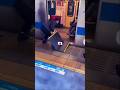 humanity of Japan. #train #folkdance #automobile #traditionaldance #funny