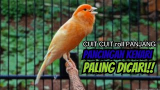 Download Lagu PANCINGAN KENARI GACOR CUIT CUIT COCOK UNTUK MASTERAN DAN TERAPI KENARI MACET BUNYI AGAR GACOR MP3 Download Lagu PANCINGAN KENARI GACOR CUIT CUIT COCOK UNTUK MASTERAN DAN TERAPI KENARI MACET BUNYI AGAR GACOR MP3