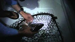 Where To Fish From Shore In Fort Pierce Florida 