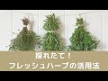 【祥子のワンポイントレッスンーフレッシュハーブの活用法】