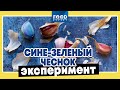 Чеснок меняет цвет на сине-зеленый! / Food Expert