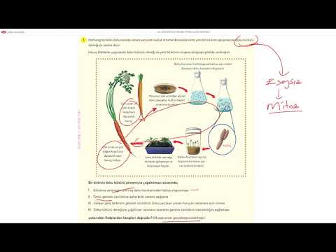 Biyoloji brooker 4. baskı pdf indir ücretsiz.
