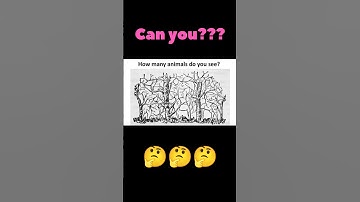 How many animals in the picture?? #puzzlebits #brainteasers #puzzle #visiontest