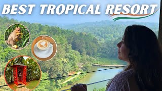 🇮🇳 What The Best Luxury Resort In India Looks Like | Coorg Karnataka The Ibnii