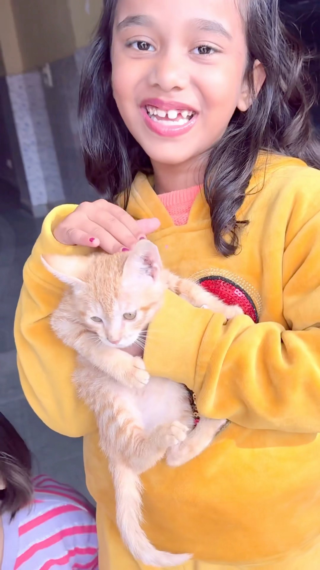 Amaira ko cat n mar diya ?? #shorts #thegeetagurjar