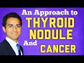 Approach to Thyroid Nodule &amp; Cancer Workup, Symptoms, Ultrasound, Causes, Biopsy Findings, USMLE