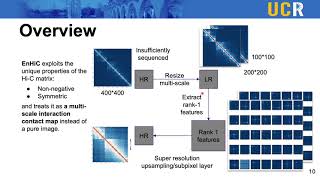 EnHiC: Learning fine-resolution Hi-C contact maps... - Yangyang Hu - RegSys - Talk - ISMB/ECCB 2021