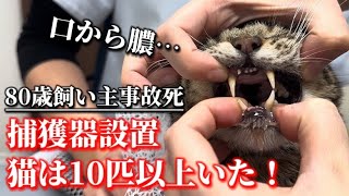 【SOS】80歳飼い主死亡。捕獲器設置で猫が10匹以上いたことが判明