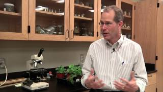 Faculty Profile: Joel Funk