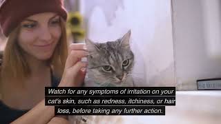 Does Soft Fur Mean Healthy Cat / Cat Care / Cat and Dog Care / #catcare / Cat Grooming screenshot 3