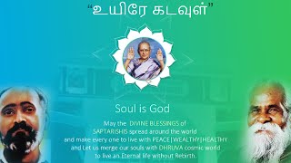 Om Eswara Gurudeva Merging Our Soul To The Cosmic Energy