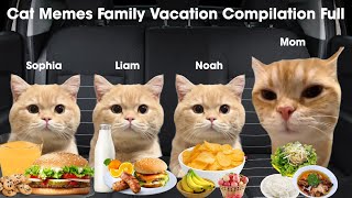Cat Memes Family Vacation Compilation Full