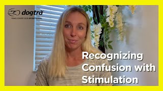 E-collar Training for Beginners | Recognizing Confusion with Stimulation by Dogtra 1,384 views 1 year ago 2 minutes, 44 seconds