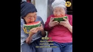 Dang Ni Lao Le 当你老了【Di Saat Kamu Sudah Tua/ When You Are Old】- Lirik terjemahan