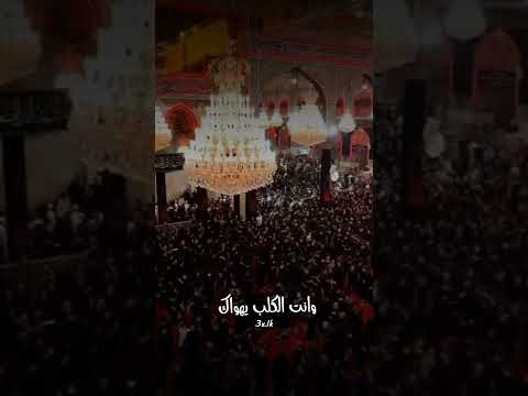 باسم الكربلائي منين اجيبن بعد مثلك حبيب وسند 