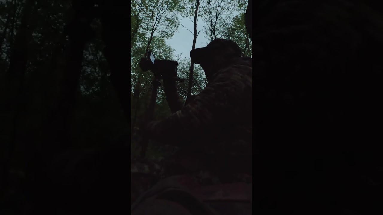 Decoys Out, Gobbler Responds! Can He Get Him? #shorts