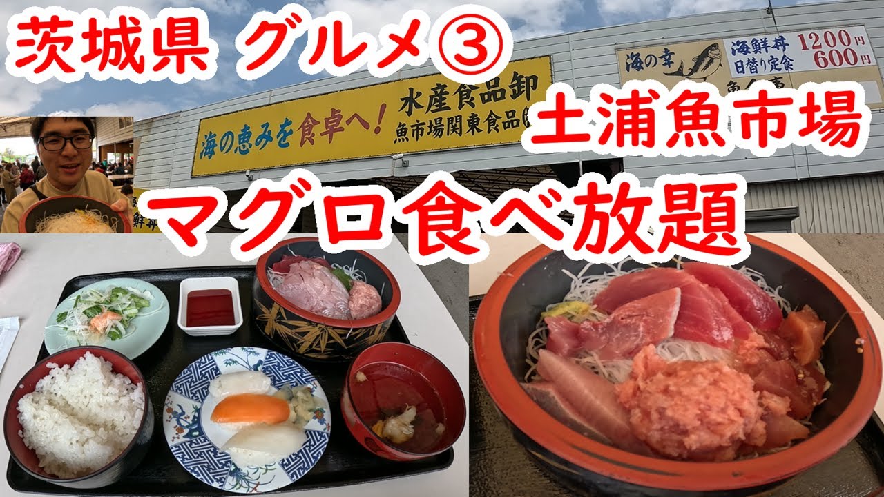 時間無制限！マグロ食べ放題！最高でした！
