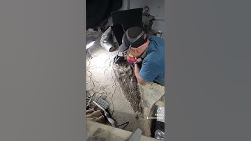 #crocodile #fossilprep #nature #fossil #preparation #fossilfinds #amazing #wy #real #fossils