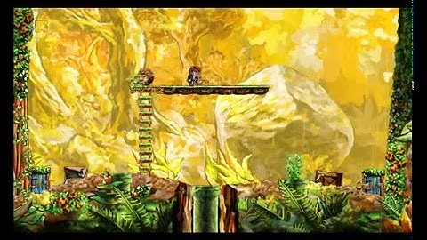 Braid mod Firefly 3-1