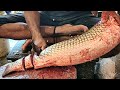 Amazing Cutting Skills | Big Carp Fish Scaling & Cutting By Expert Fish Cutter