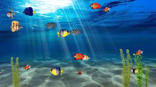 Футаж 🐟 Сказочный подводный мир моря🐡🐙