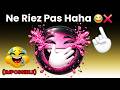 Riez ou Perdez Tout ! Défi Ultra-Divin 🤣
