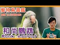 和尚鸚鵡好養嗎?你不會相信的和尚鸚鵡！Monk Parrot illustrated book ft.鳥友們.快樂鳥日子【鸚鵡小木屋】【寵物鳥圖鑑EP2】