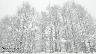 Snowscape / 初音ミク