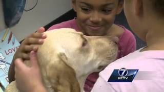 Therapy dog brings smiles to kids' faces at Omaha elementary school
