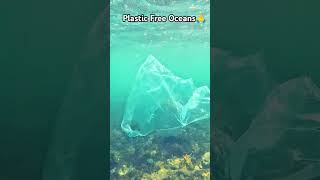 Get rid of single use of plastics just because of this! #byebyeplasticbags  #quitplastic #srilanka