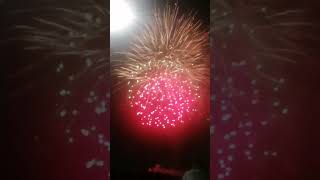 Fireworks light up the night sky with dazzling colors and thunderous echoes of celebration Fireworks light up the night sky with dazzling colors and thunderous echoes of celebration