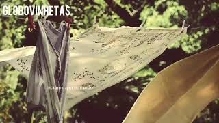 Vinhetas De Intervalo De Sete Vidas 2015