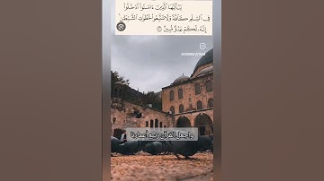 الآية 208 من سورة البقرة