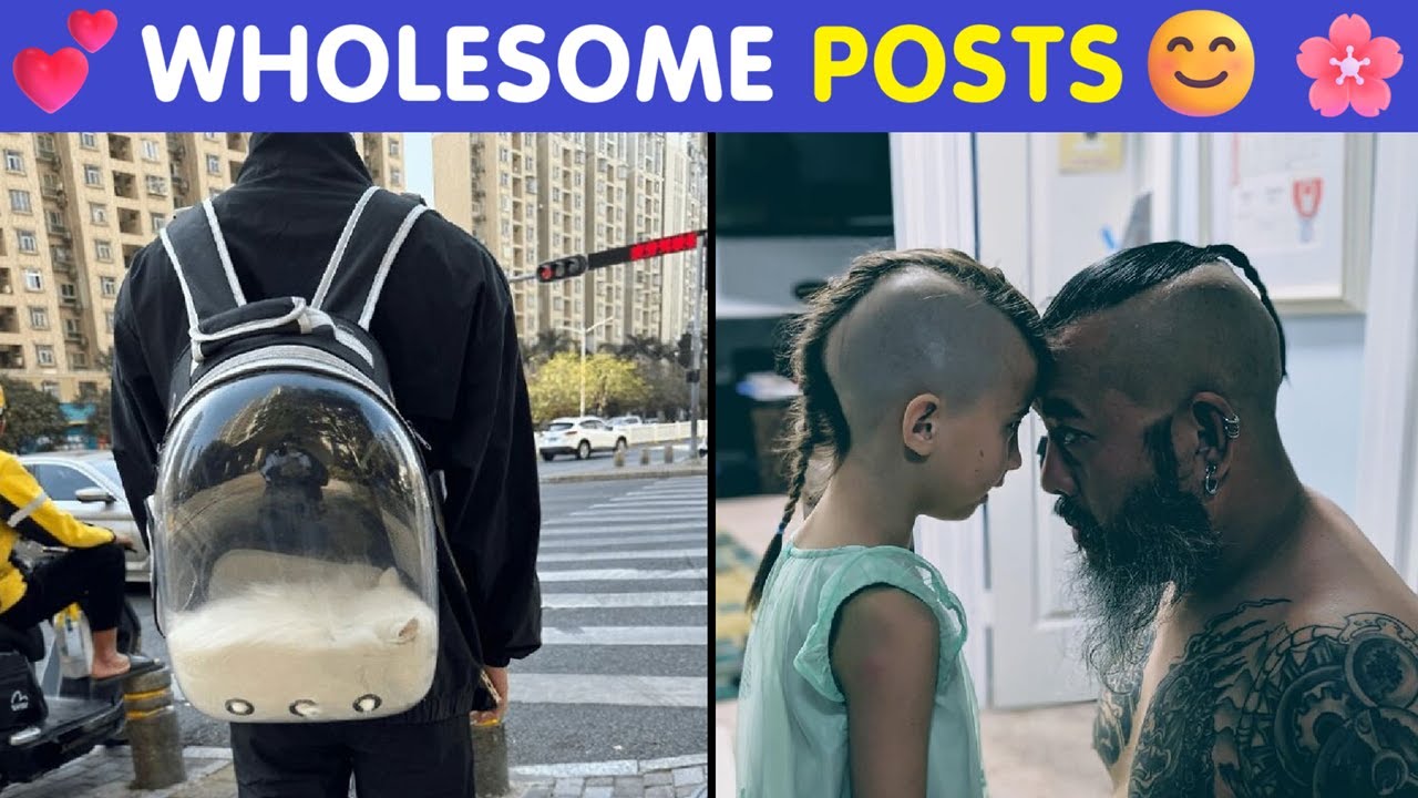 Wholesome Posts To Distract You From The Current Horrors Of The World 😊💕 | Happy And Fun