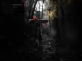 Strigoi: Wenn Tote zurückkommen, um dich zu holen. #mythen Strigoi #TrueCrimeShorts #HorrorLegends