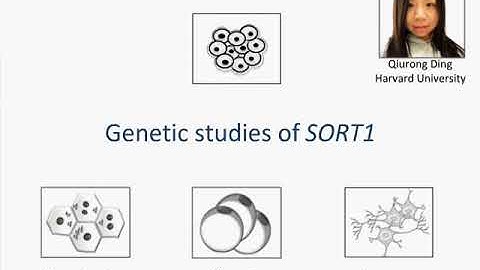 Genome editing to generate human cellular disease models