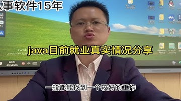 孙孟标-java开发目前就业真实情况