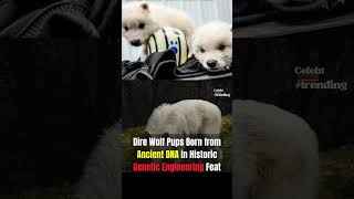 Dire Wolf Pups Born from Ancient DNA in Historic Genetic Engineering Feat