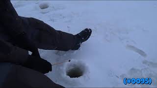 Higher Level Waking Silence