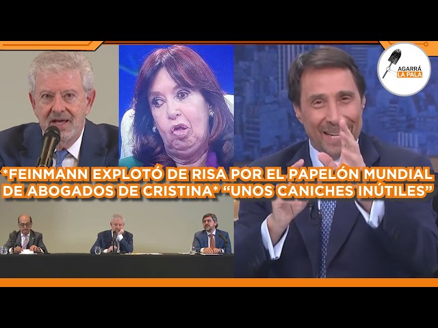 FEINMANN EXPLOTÓ DE RISA POR PAPELÓN MUNDIAL DE ABOGADOS DE CRISTINA: "SON UNOS CANICHES INÚTILES"