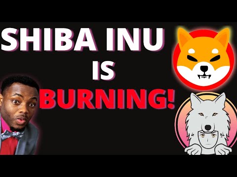 SHIBA INU - They're Decreasing The Supply 🔥 | Saitama HUGE News! | Apple Car!