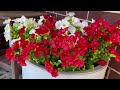 18 Bundles Artificial Flowers for Outdoor Spring Summer Decor, Realistic Fake Plant Morning Glory, U