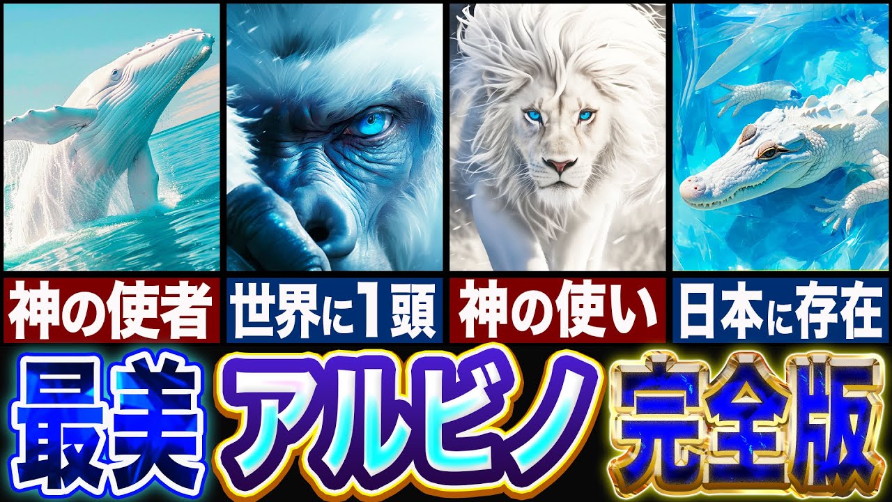 【アルビノ】神が作った美しすぎる生物…!!アルビノ生物12匹を一挙大公開!!【ゆっくり解説】 - YouTube