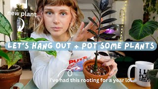 chatty repot with me   life chats, my container garden, reading updates, etc