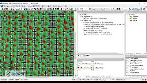 Counting Orange Trees - eCognition