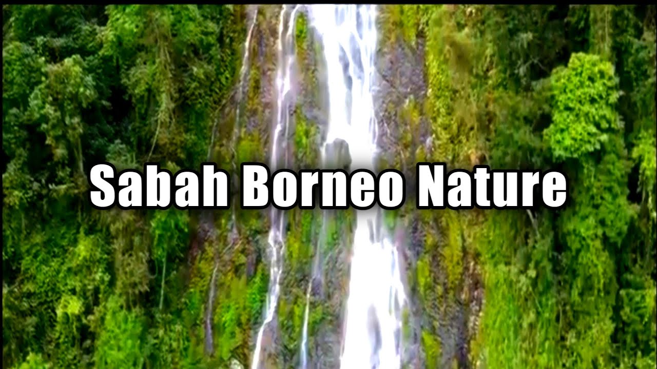 Sabah Malaysia Borneo Nature - YouTube